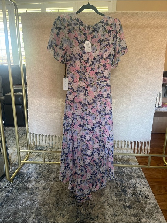 Astr Dresses & Skirts - Astr Floral Maxi Dress in Pink and Blue